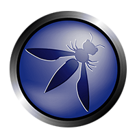 What are OWASP Top 10 vulnerabilities?